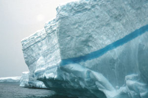 Cracks in icebergs may fill with freshwater and freeze as blue lines. 