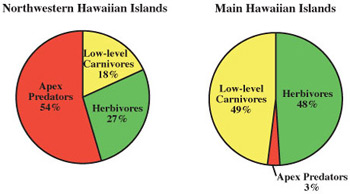 Credit: adapted from Gulko and Maragos, Coral Reef Ecosystems of the Northwestern Hawaiian Islands