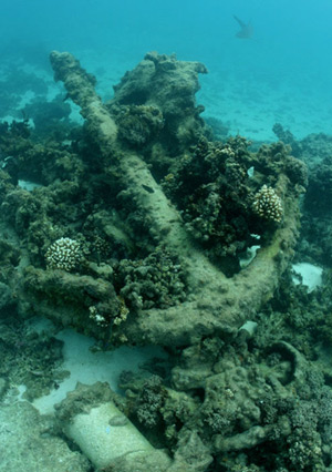 Anchor from the 19th century whalings ship Parker at Kure Atoll.