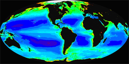 Figure 5. Global distribution of chlorophyll (the oceanographers index for phytoplankton or plant abundance) gathered from the first 6 years (September 1997-September 2003) of the SeaWiFS satellite sensor. Red, yellow and green represent high levels, and blue and purple are low levels.